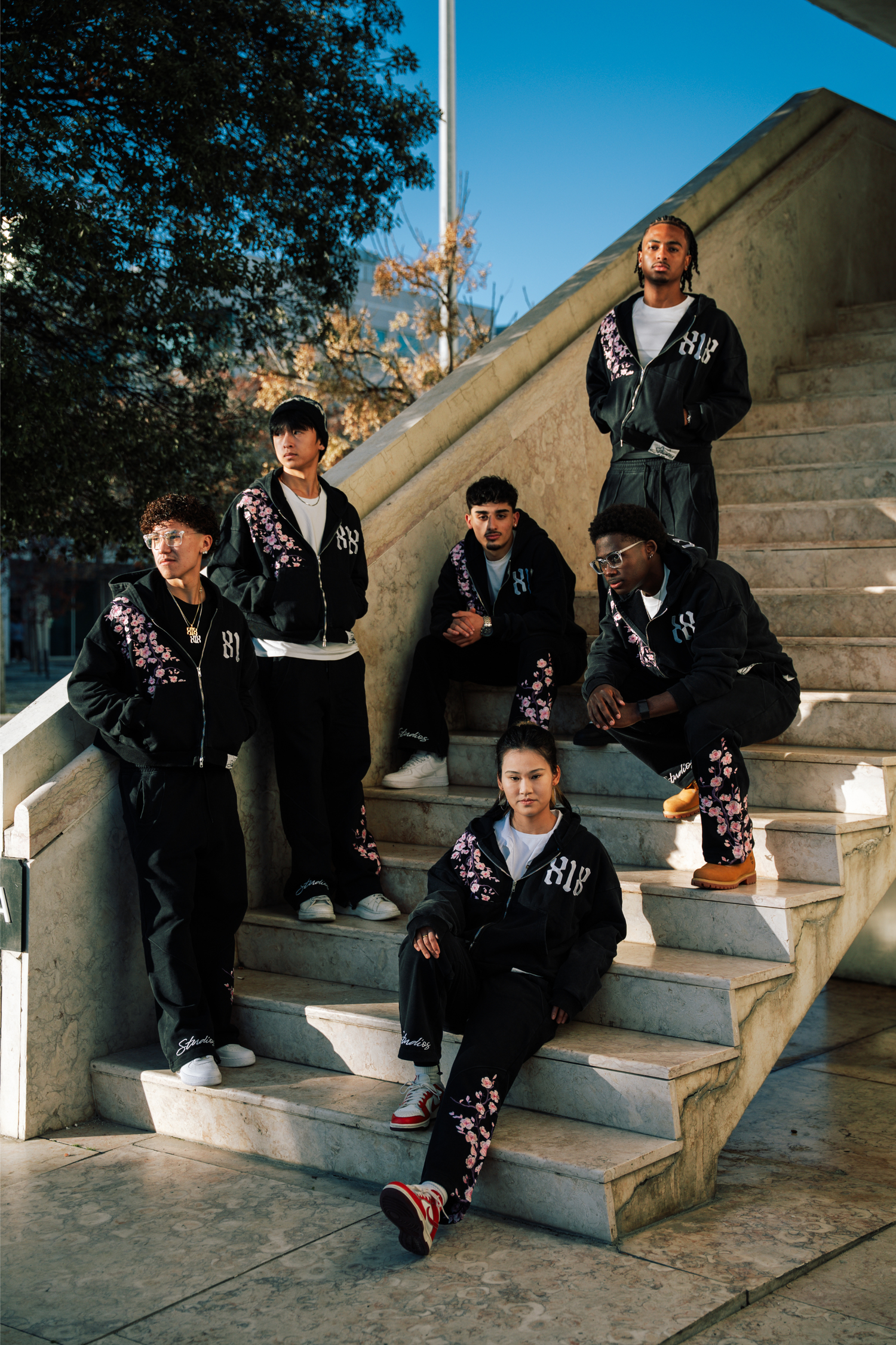 BLOSSOM DROP II 🌸